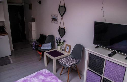 Apartments Lisinski - FREE parking - Foto 47