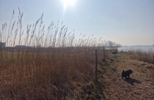 Haus-Fehmarn-am-Dorfteich-|-Wohnung-2-West - Foto 40