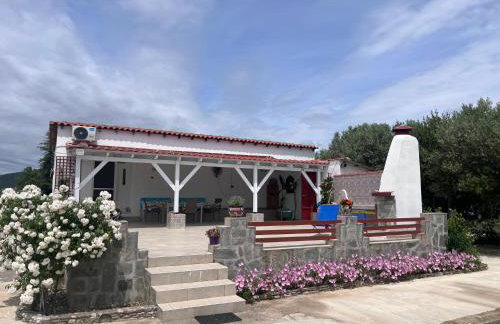 Sea and Garden House - Photo 1