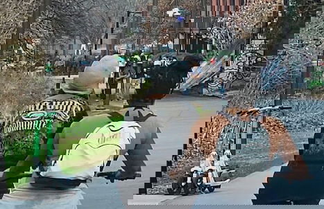 4 Minutes to Downtown by the Atlanta Beltline Trail in the Cabbagetown Neighborhood - Foto 71