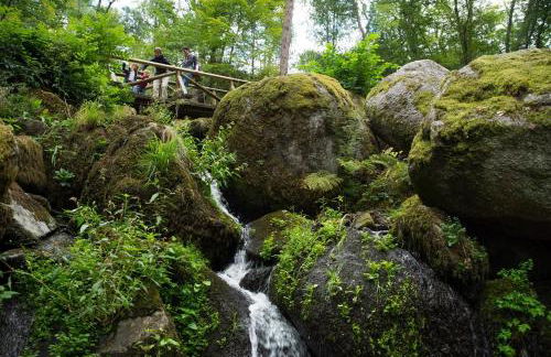 Terrassenpark Apartments (low budget) - Foto 12