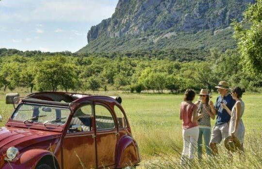 Languedoc Winery Private Tour & Tasting in Vintage Car - Photo 3