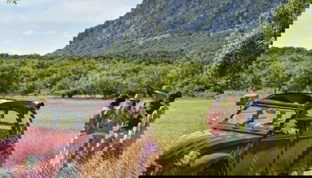 Languedoc Winery Private Tour & Tasting in Vintage Car - Foto 3