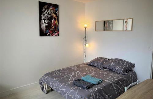 Appartement double à Limoges - Foto 3