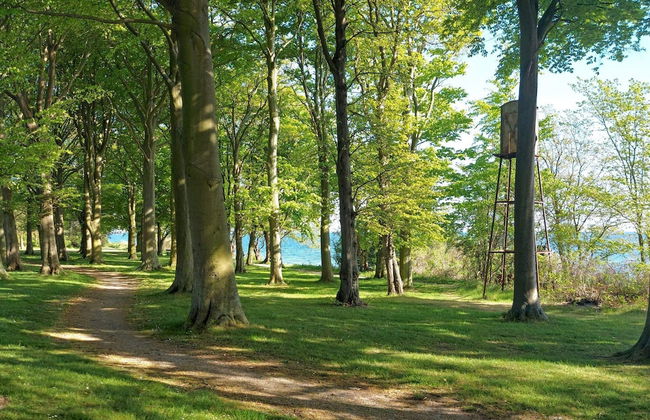 8 Person Holiday Home in Nysted - Foto 14