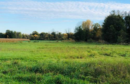 Tinyhaus mit Sauna -RESET im Vilstal - Zurück zum Ursprung - Foto 49