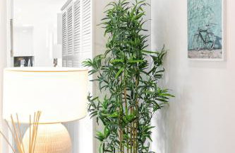 Consolação & Supertubos - Beach House II - Foto 27