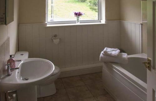 Cwmgilla Farm - Photo 19