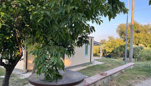 Casa Gabbiano - Foto 5, Garden, Garden view