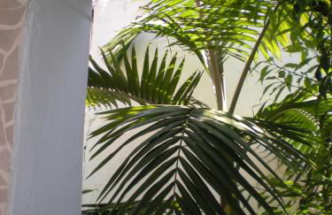 Manolis' House - Foto 55