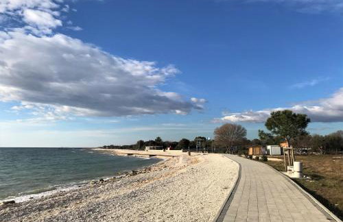 Apartments Krusec - Foto 33