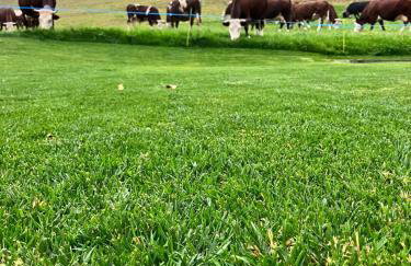 Maison Le Cré Appartamento 2 - Photo 36