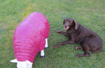 Apartment Seaside - Foto 31