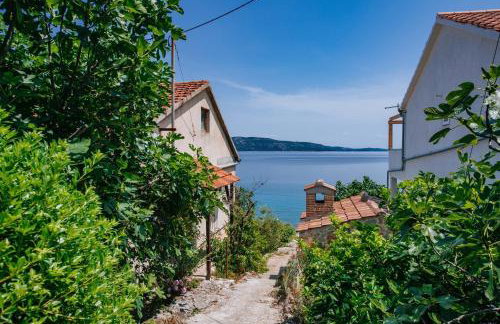 Villa Lily Comfortable holiday residence - Foto 55