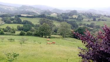 Casa Nieves - Foto 5