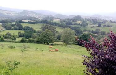 Casa Nieves - Foto 5