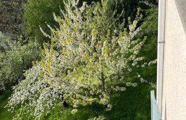 EMI4 Modern Apt Near Swiss Border Free Parking - Foto 51