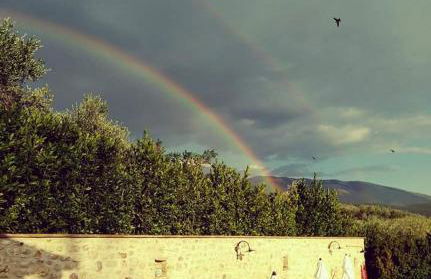 Agriturismo Monte Cologna - Photo 59