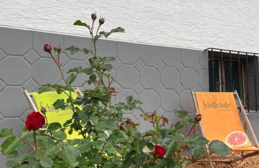 Ferienhäusel Allemühl - Foto 13