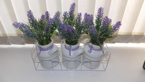 Waterloo Cottage - Photo 3