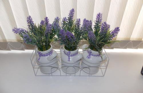 Waterloo Cottage - Photo 3