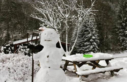 Nant d Ant - Foto 14