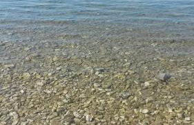 Apartmani Božić-Omišalj - Foto 2