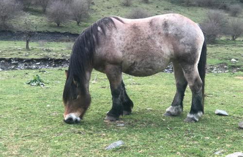 Le refuge 66 - Foto 16