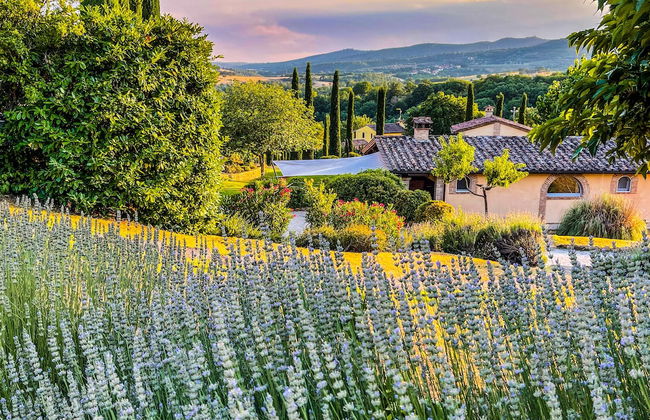 Country House Villa Rey - Foto 52