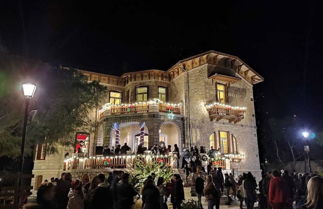 Thor & Freyja's of Poseidonia Syros Holiday House - Foto 67