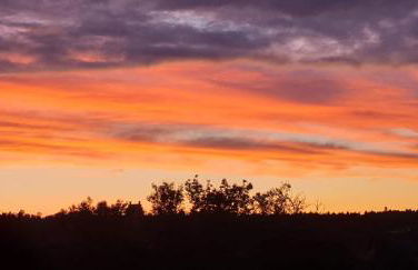 Traumferienwohnung Meckenbeuren - Foto 21