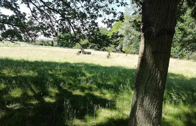 Holiday Home in Holeby - Foto 19