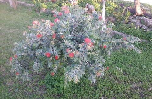 Villa Margherita - Foto 19