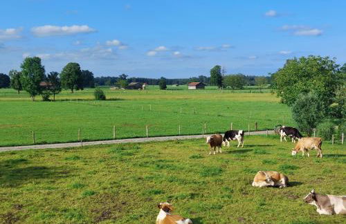 Ferien by Wallners - Foto 15