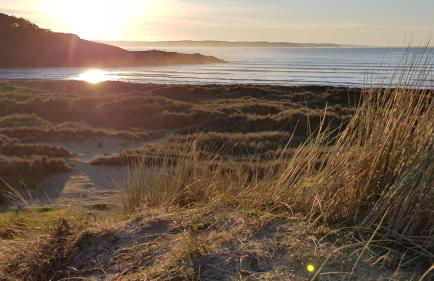 Pors Melenn - Foto 5