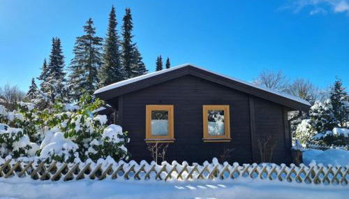 Hüttenflair am See mit Kamin - Foto 2