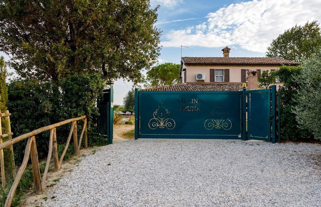 Villino Bruna 6 in Bertinoro - Foto 46