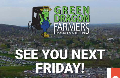 The Highland Oasis - Foto 56