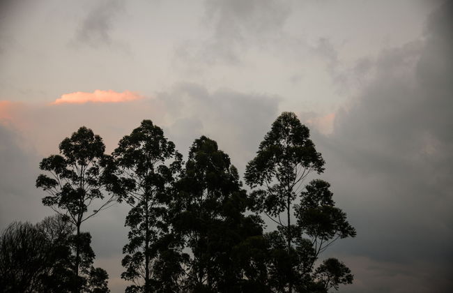 The Cavern - Foto 51