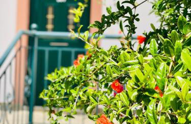 Stomio Villague - Foto 13