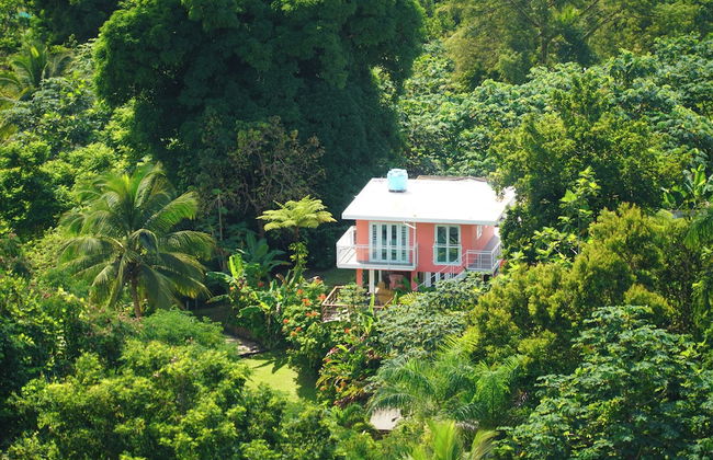 El Yunque Rainforest - Photo 36