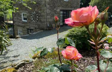 Cottage hideaway on the edge of Bodmin Moor - Foto 14