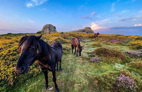 Haytor Court, Haytor, Dartmoor - The Moor on Your Doorstep - Foto 3