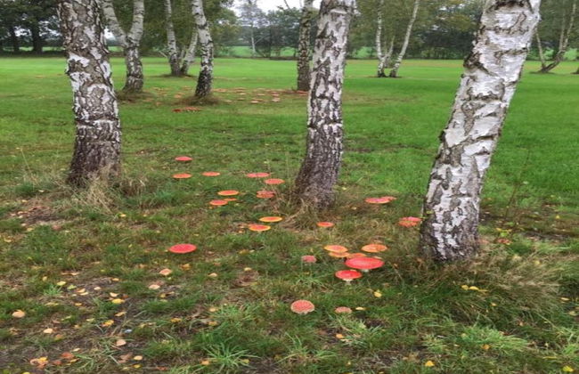 Lodge by Dutch Meadows With Scenic Veranda - Photo 42