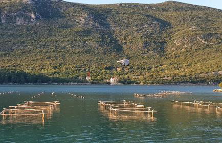 Villa Paradise Garden - Foto 50