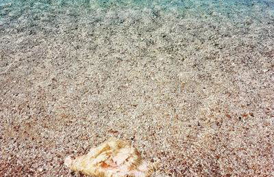 Apartment Rippl - Foto 20