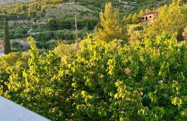 Apartments Curnić - Photo 15