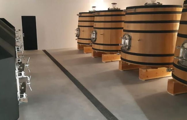 Château Pierre de Montignac - Foto 29