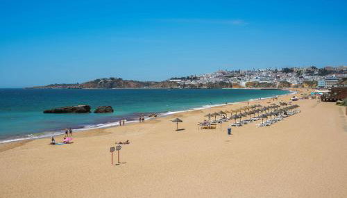 Barracuda A14 - Foto 3