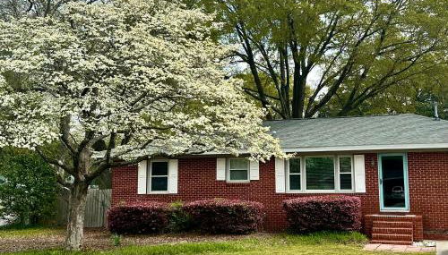 Pack your bags and leave tonight! - Foto 3